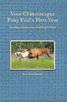 Your Chincoteague Pony Foal's First Year