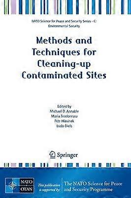 Methods and Techniques for Cleaning-up Contaminated Sites
