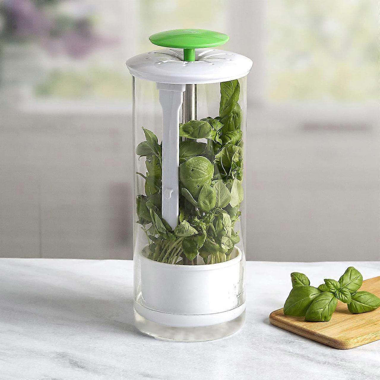 Round Herb Keep Fresh Box Simplicity Household Vegetable Fresh-keeping Apparatus Kitchen Storage Herb Coriander Keep Fresh Box