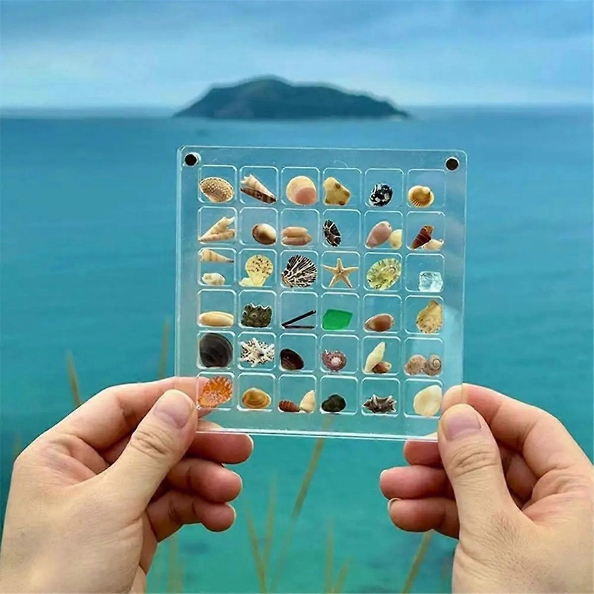 Acrylic Magnetic Seashell Display Box,Grid Clear Acrylic Seashell,E
