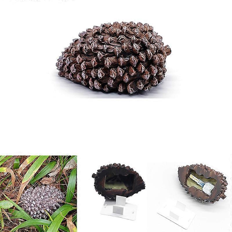Outdoor Garden Key Safe Box Hidden Pine Cones Hide Keys In Fake Pine Cones Safety Storage Box For Home RV Key Safes