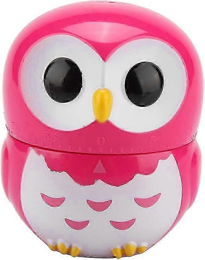 Adorable Owl Design Digital Cooking Timer and Manual Mechanical Timer for Home Kitchen with Alarm Function