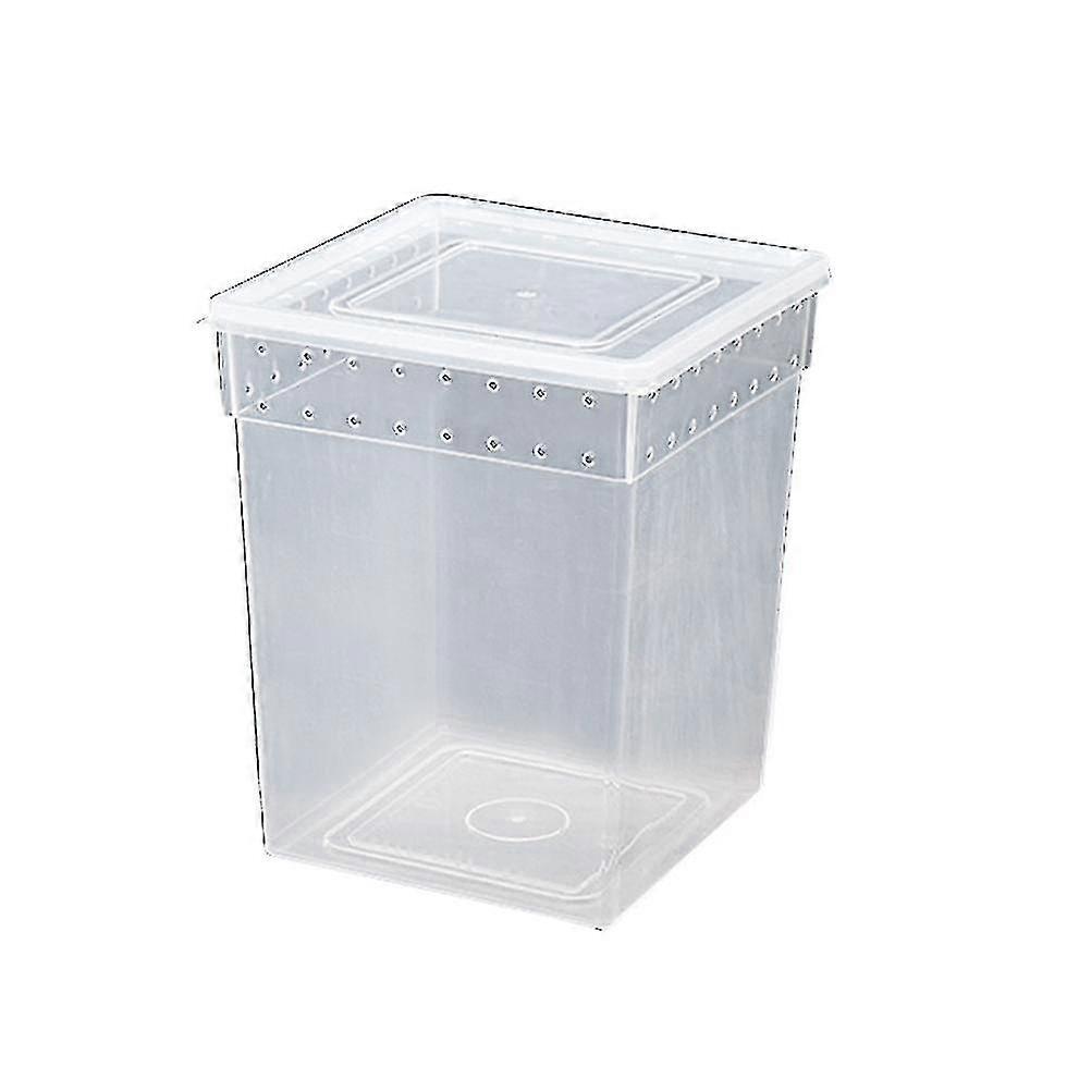 Kletternder Haustierfutterbehälter Transparente Zuchtbox für Reptilien und Spinnentiere