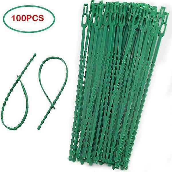 50/100 pcs Reusable Plastic Support Clips Hanging Vine 100 pcs p