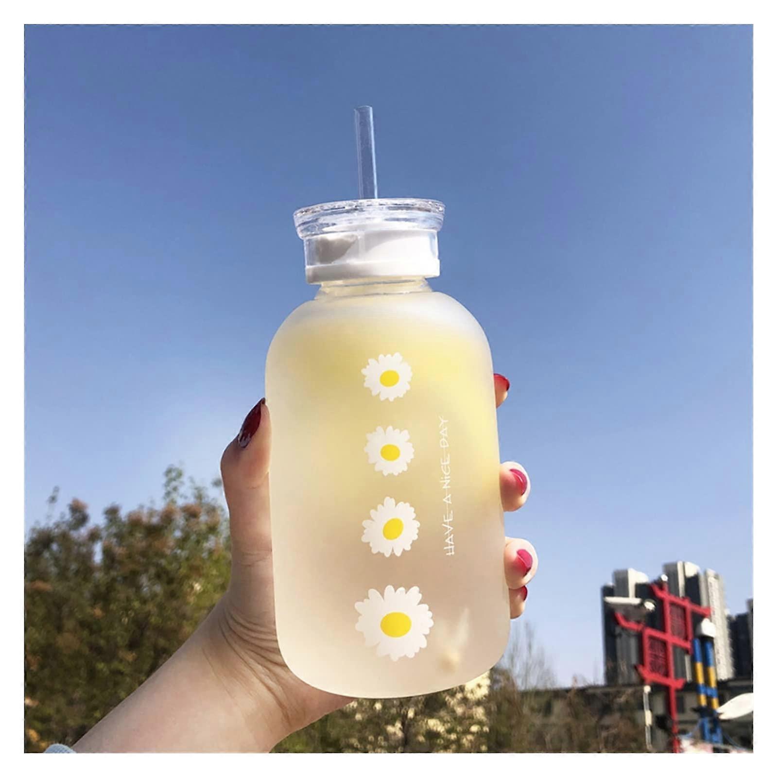 Glass Water Bottle With Straw, Frosted Cup, Leakproof Portable Water Bottle, Sealing Lid, 480ML, Color Frosted B