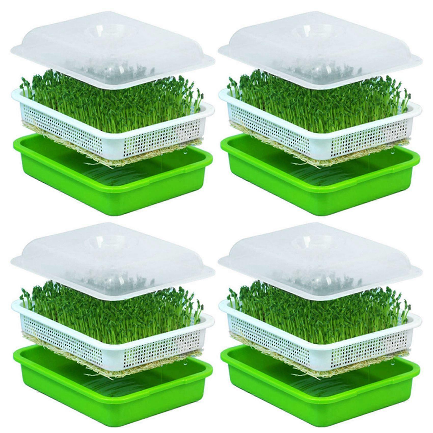 4X Seed Sprouter Tray with Lid Free Bean Sprout Grower Sprouting Seeds Tray, Dirt Free Way and Big C