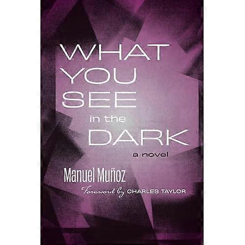 What You See in the Dark : a Novel