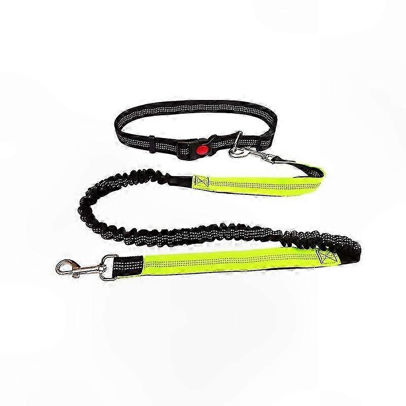Multifunctional Leash for Active Dogs - Pet Exercise and Walking Towing Rope