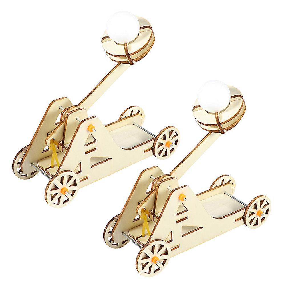 Physics Experiment Kit Wooden Trebuchet Catapult Kit for Kids 8Sets