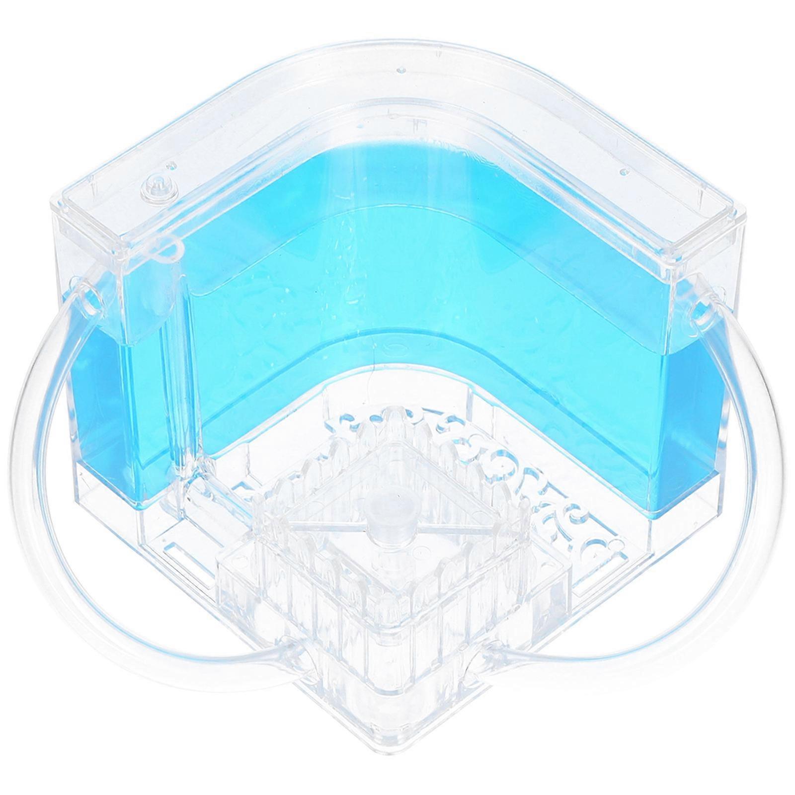 Ant Farm Castle for Kids Educational Tool to Observe Ant Behavior