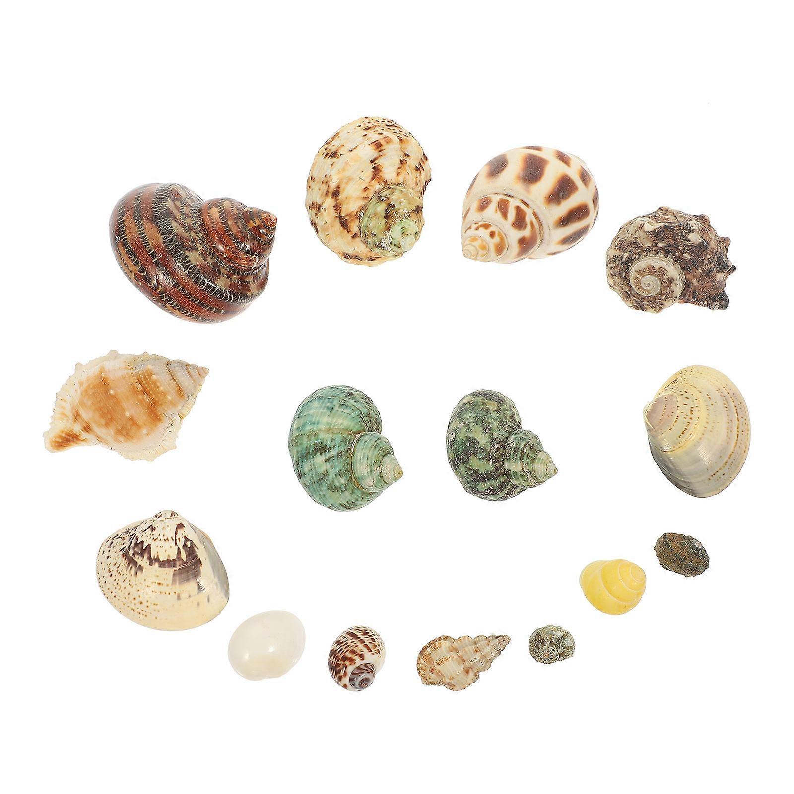 DIY Crafts Shell Kit Decorative Conch for Fish Tank 1Set