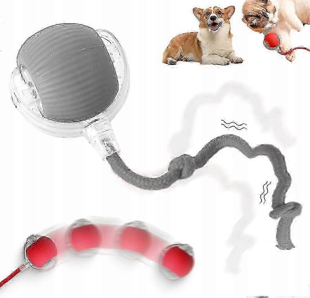 2025 Electric Cat Ball, Rechargeable, Interactive, Smart Toy