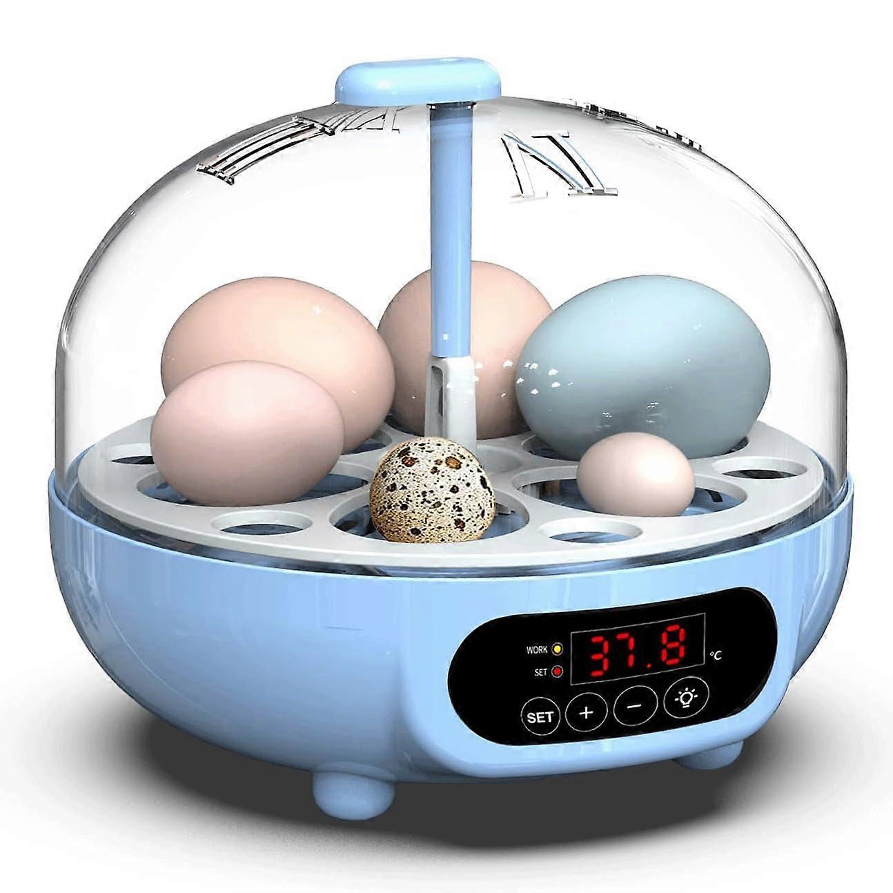 Automatic Egg Incubator with LED Display, 6 Egg Digital Hatcher for Chicken Duck Bird Hatching