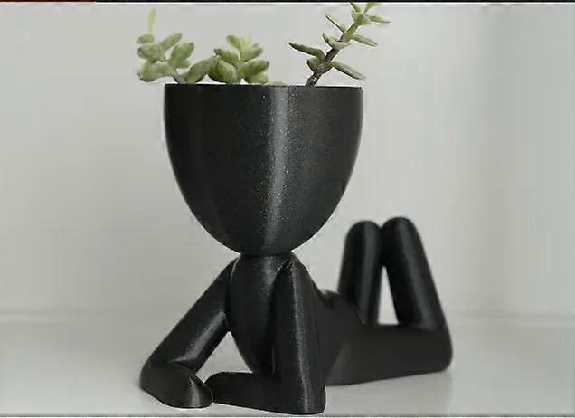 Indoor Flower Pot