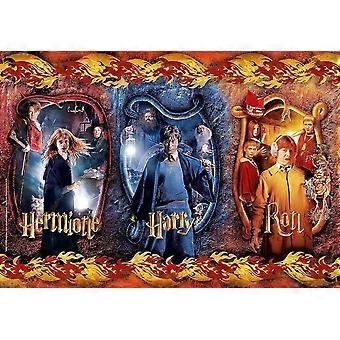 Harry Potter Puzzle Jigsaw Puzzle Harry Ron Hermione FBL-299