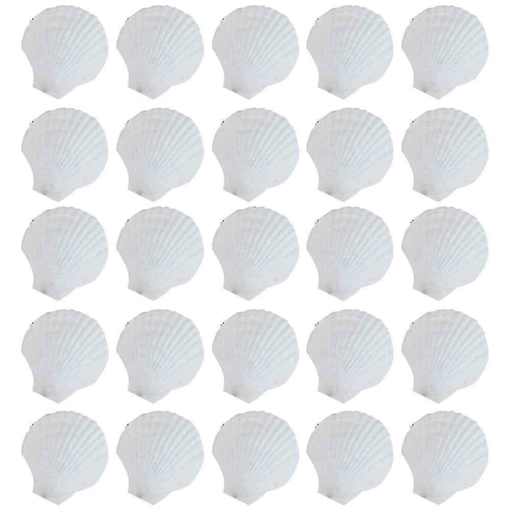 25pcs Natural Scallop Shell, For Handmade Diy Production Handmade Diy Coloring Shell