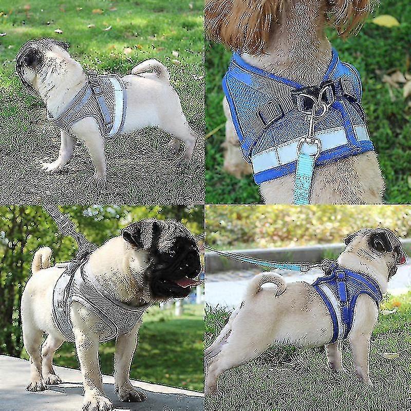 Cat Harness, Cat Harness Escape Proof, Pet Harness