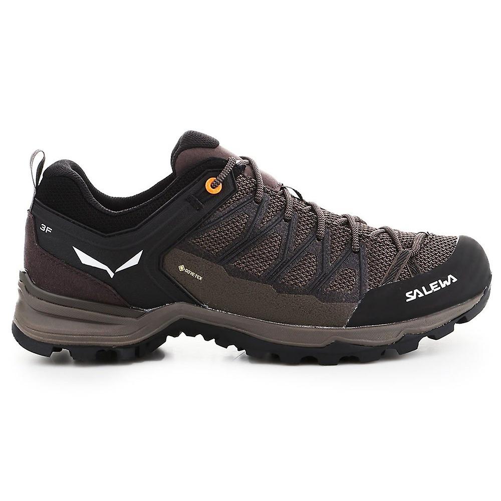 Salewa Mtn Trainer Lite Gtx 613617512 trekking all year men