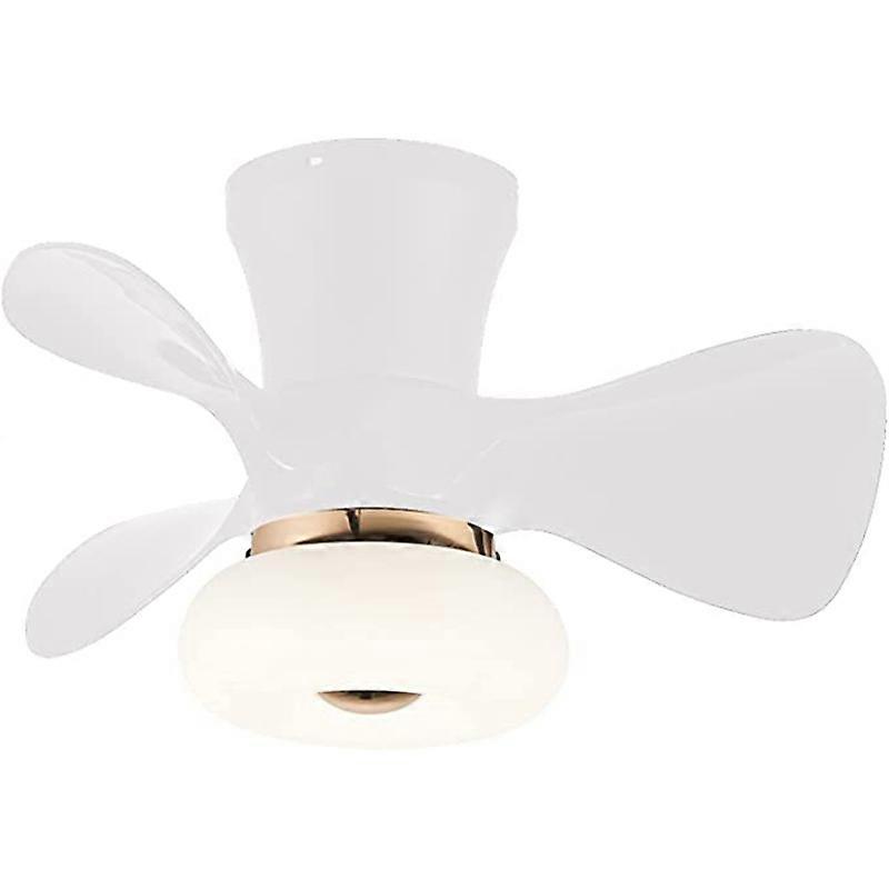 Ceilings Fans with Lights21 inch Small Quiet White Ceiling Fan
