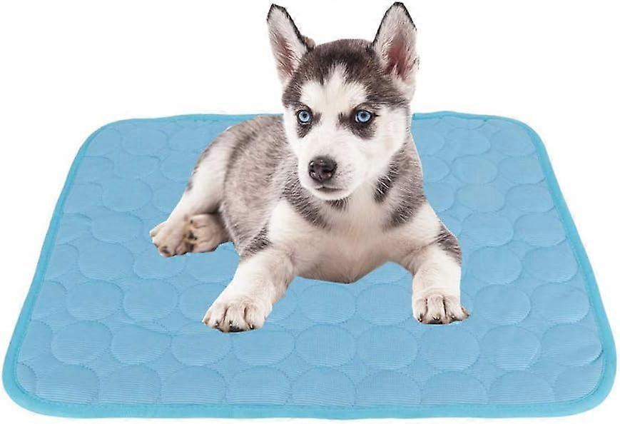 Pet Cooling Pad Summer Mattress (Xl)