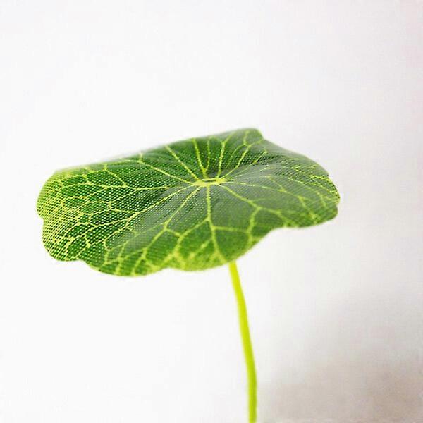 Mushroom LED Night Light Sensor Plug In Colour Changing Wall Lamp CN