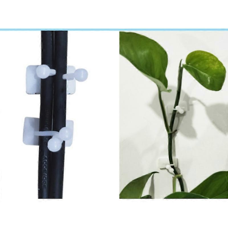 INF 10-pack stora vinranklämmor för växtstöd