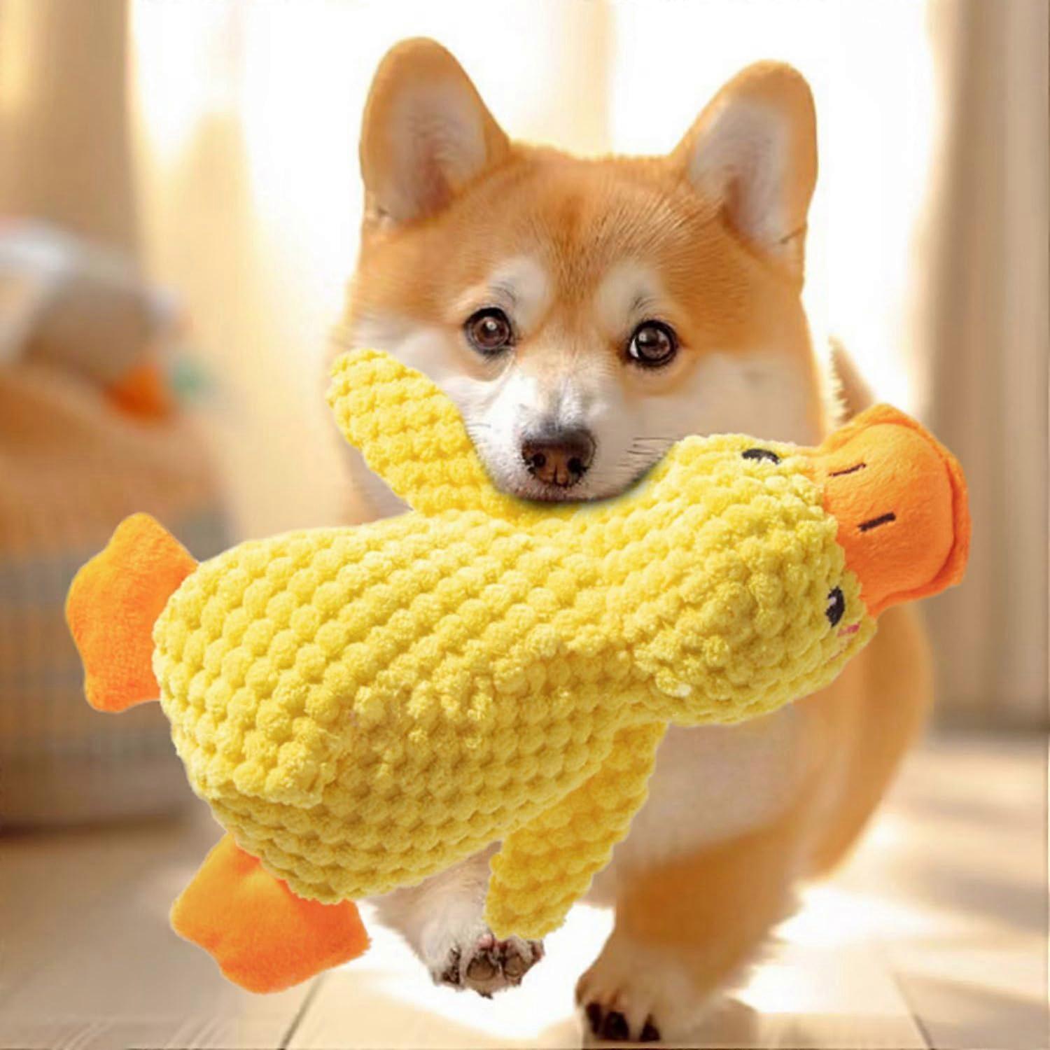 Plush Dog Toys for Small Dogs, Squeaky Plush Toy, Soft Puppy Toy for Small and Medium Dogs, 25 cm