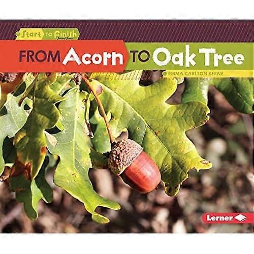 From Acorn to Oak Tree (Start to Finish, Second)