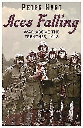 Aces Falling: War Above The Trenches 1918