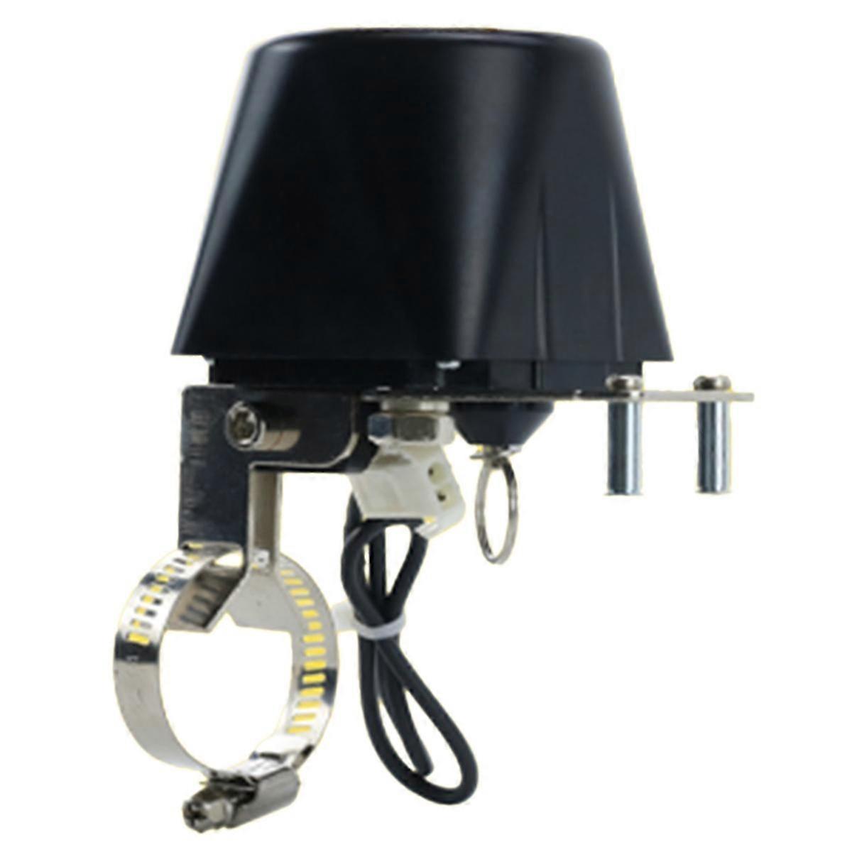 Electric Automatic Gas Pipeline Manipulator Valve DN15 DN20 DN25 (A)