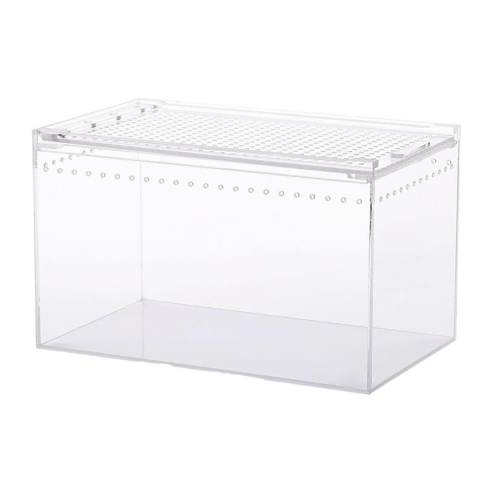 Acrylic Reptile Enclosure with Spacious Interior, Multiple Ventilation Holes and Clear Viewing