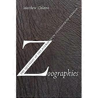 Zoographies die Frage des Tieres von Heidegger zu Derrida