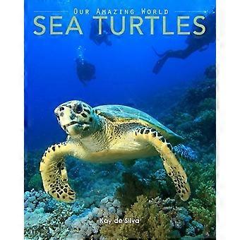Tortues de mer: Amazing Pictures & Fun Faits sur les animaux dans la nature