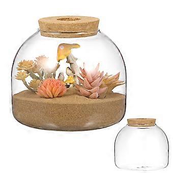 Glasterrarienglas mit Holzstopfen Mikrolandschaftsbehälter Hydrokulturpflanzen Terrarium