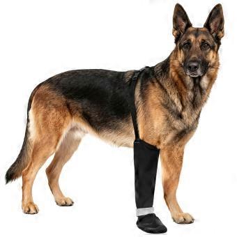 Dog Lickproof Leg Sleeve with Adjustable Ankle Belt and Textured Rubber Foot Bottom, Antislip Design for Supervised Recovery Wear  XL