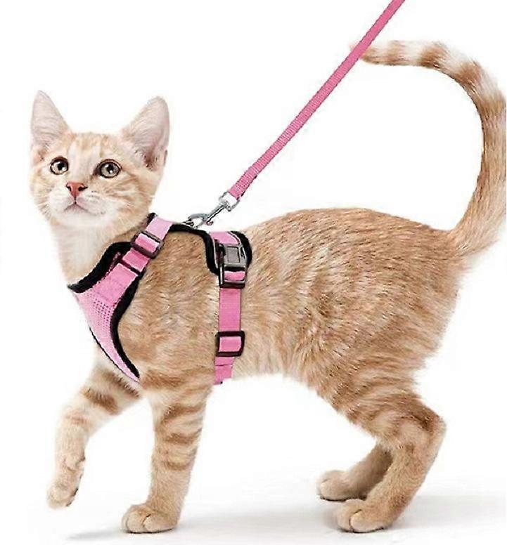 Cat Harness and Leash for Walking, Escape Proof Soft Adjustable Vest Harness for Cats, Breathable Vest