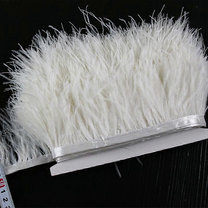 2m Ostrich Feathers Trim Plumes Ribbon Selvage