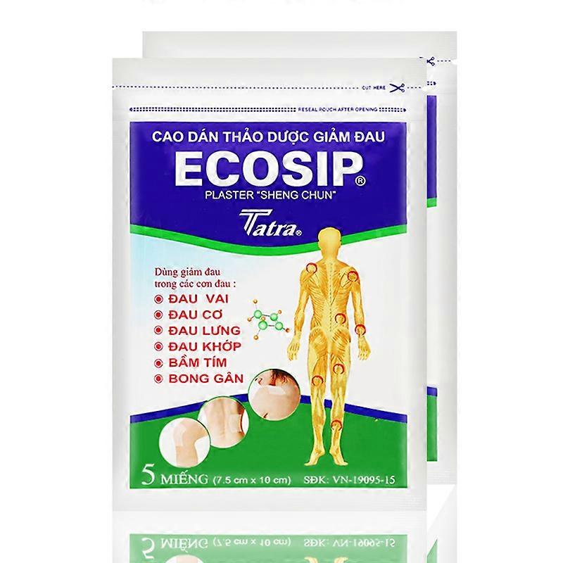 10Pcs/2bags Βιετνάμ Ecosip Βότανο Γύψο Θεραπεία Οστεοαρθρίτιδα Οστών Υπερπλασία Αυτοκόλλητο Ρευματισμούς Πόνος Ανακούφιση Patch