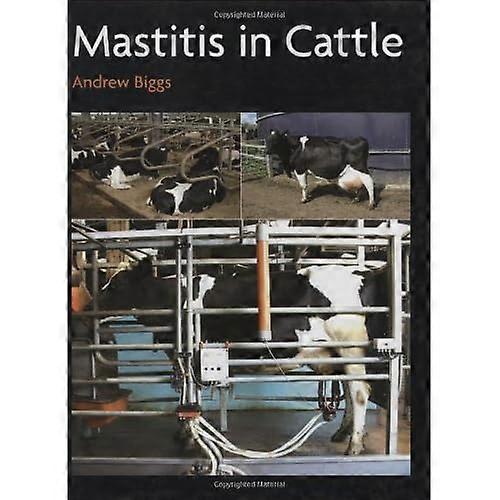 Mastitis bei Rindern