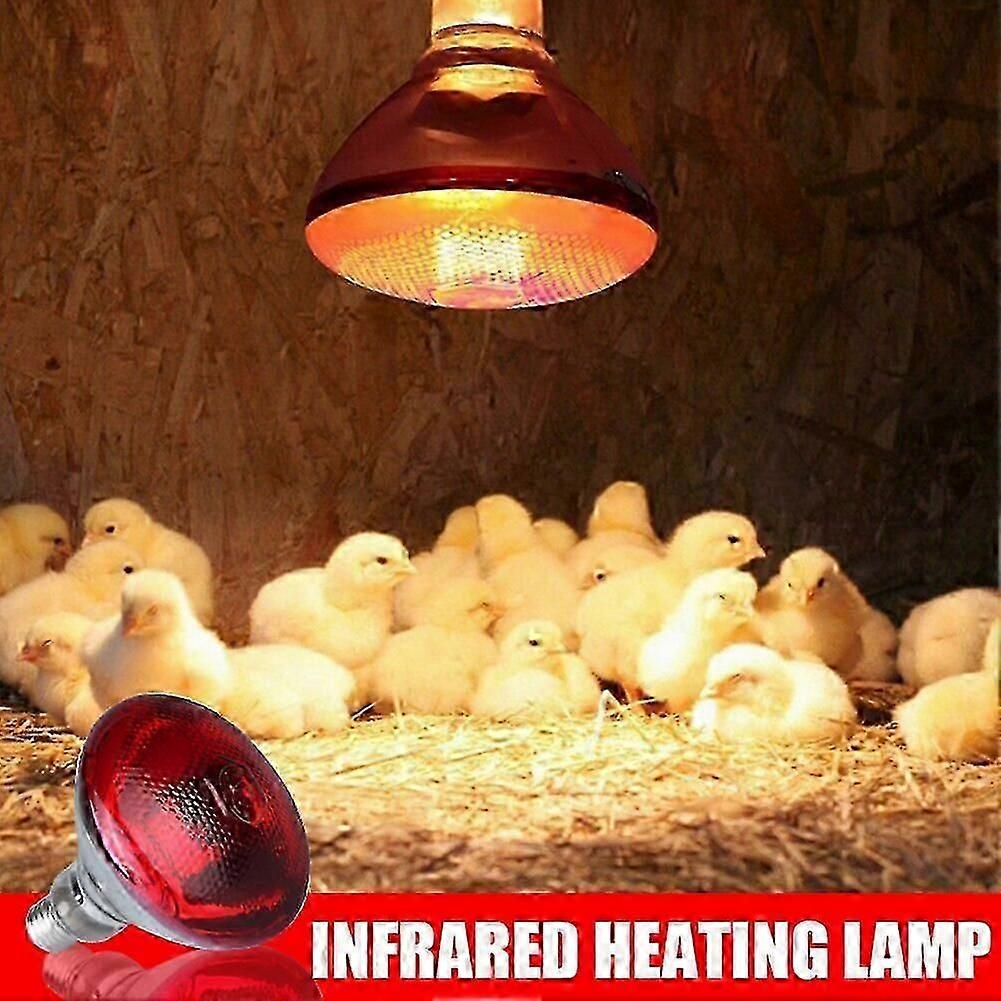250w Infrared Heat Lamp Waterproof Anti-Explosion Thickened Light Bulbs for Piglet Chicken Duck Birds