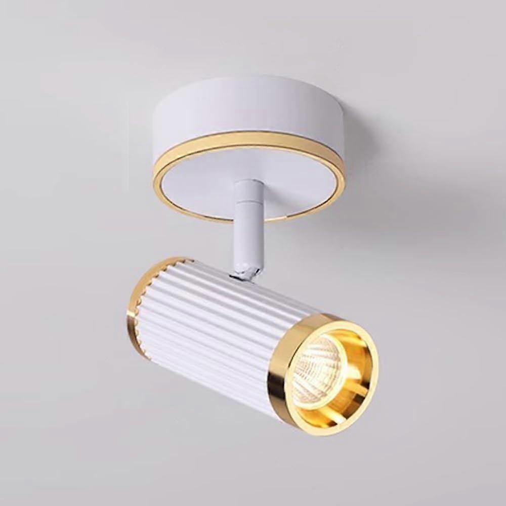 Modern Ceiling Spotlight Fixture, 5W LED White Indoor Directional Lighting, Adjustable Angle