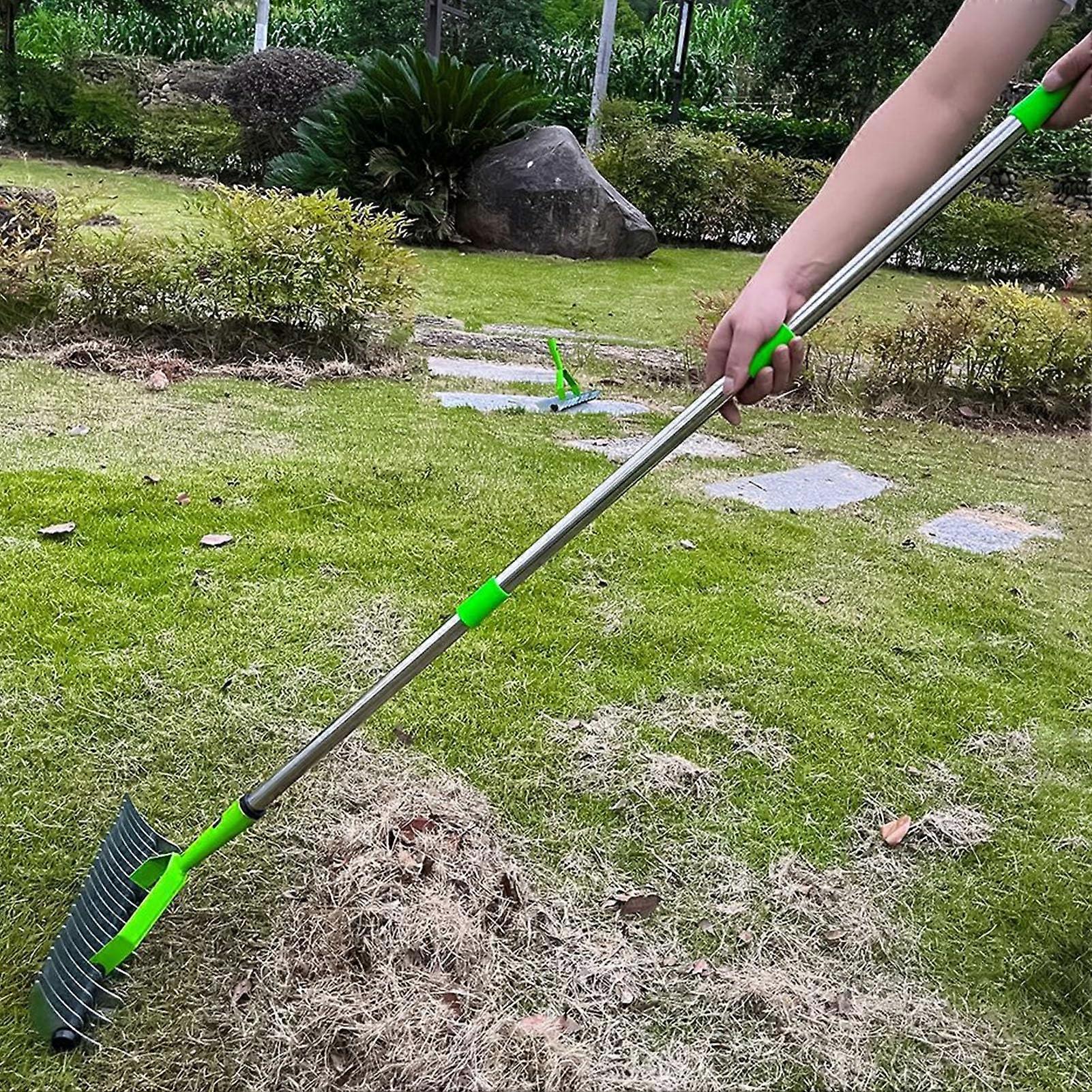 Thatch Rake 12.8 Inch Wide Dethatcher for Lawn Care, Heavy Duty Grass Rake for Dead Grass and Thatch Removal