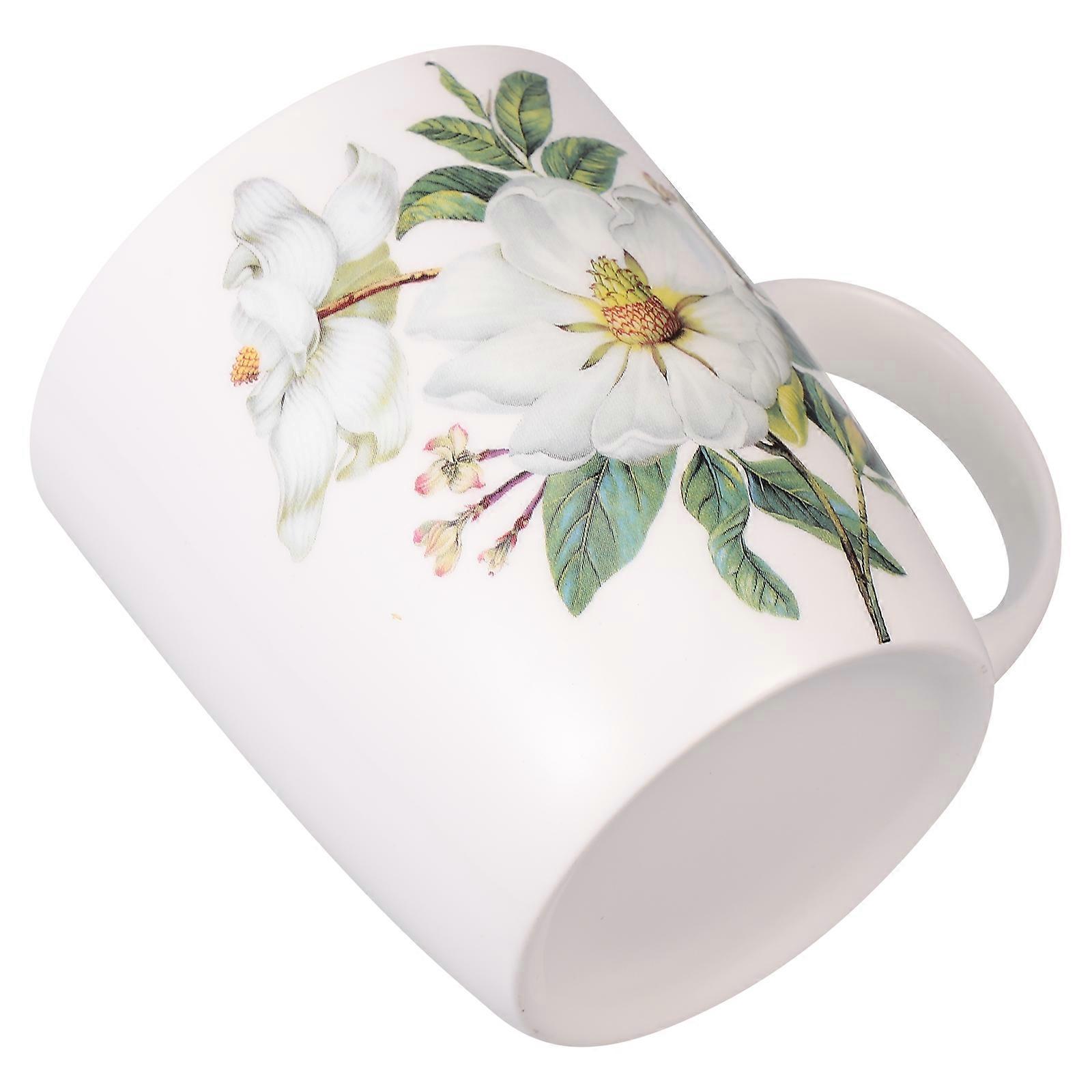 Ceramic Water Mug Coffee Mug for Home 2Pcs Assorted