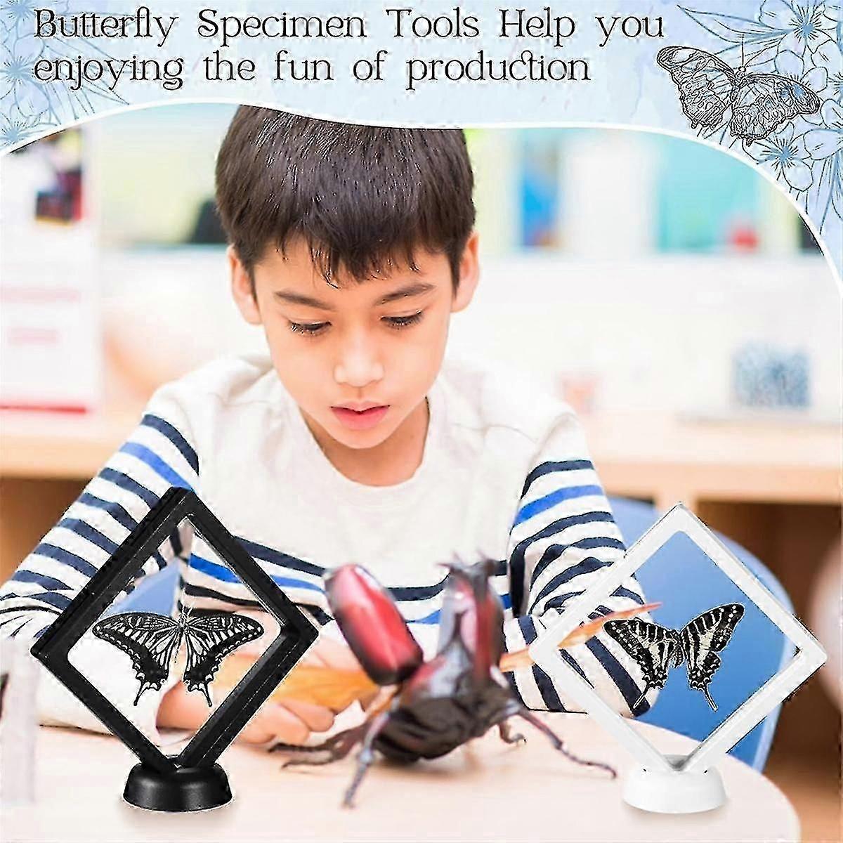 Insect Specimen Tool Kit Butterfly Specimen compatible with Classroom Teaching Pin Wing Press Paper