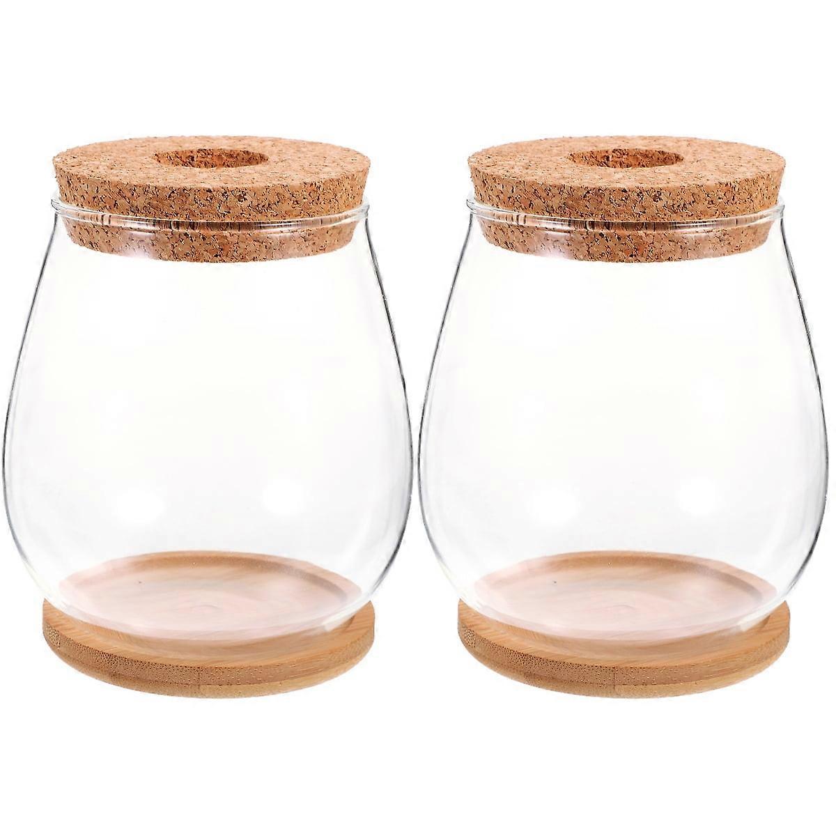 2 Sets Hydroponic Glass Vase Kitchen Countertop Decor Kitchen Decorations for Countertops