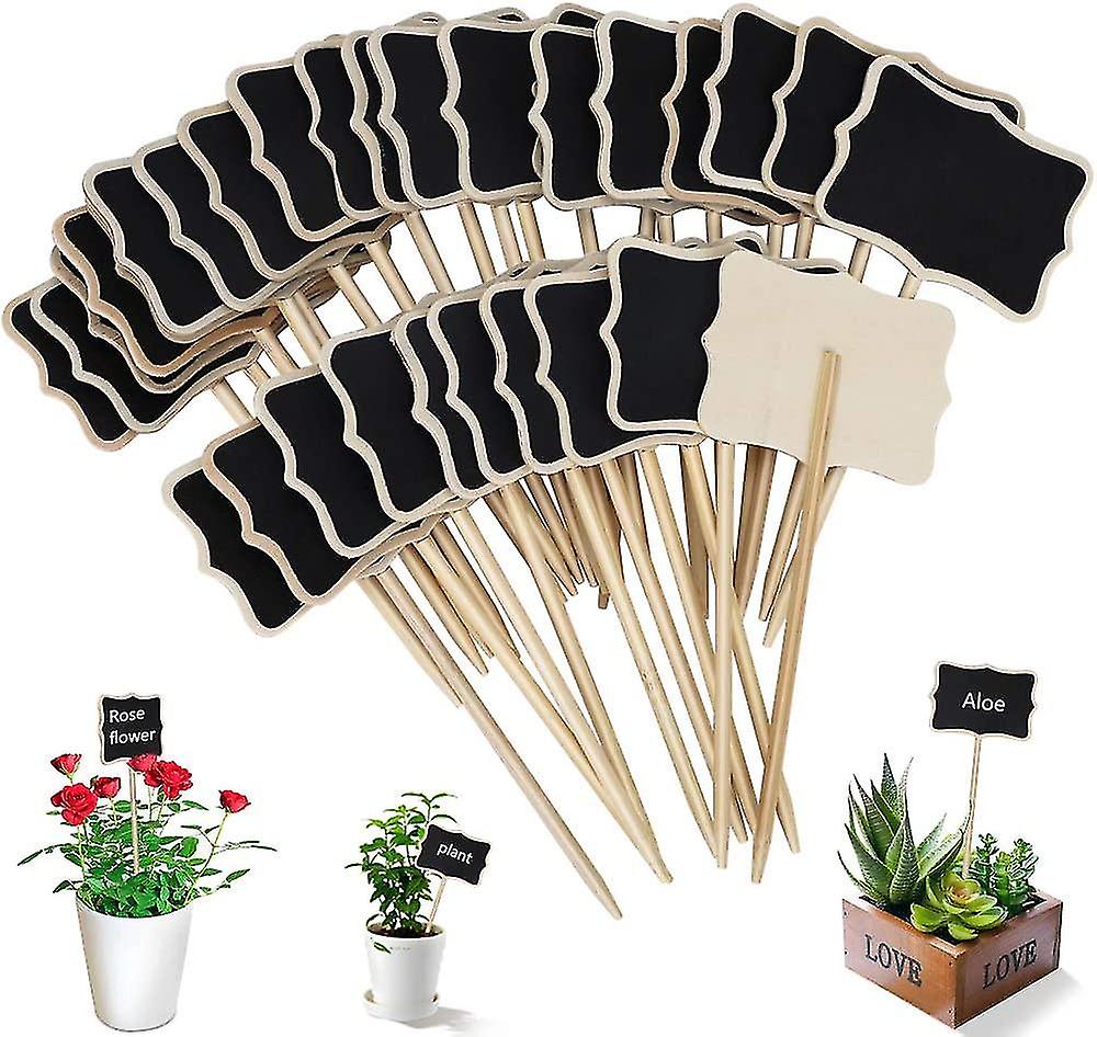 30 Pcs Garden T Type Plant Labels