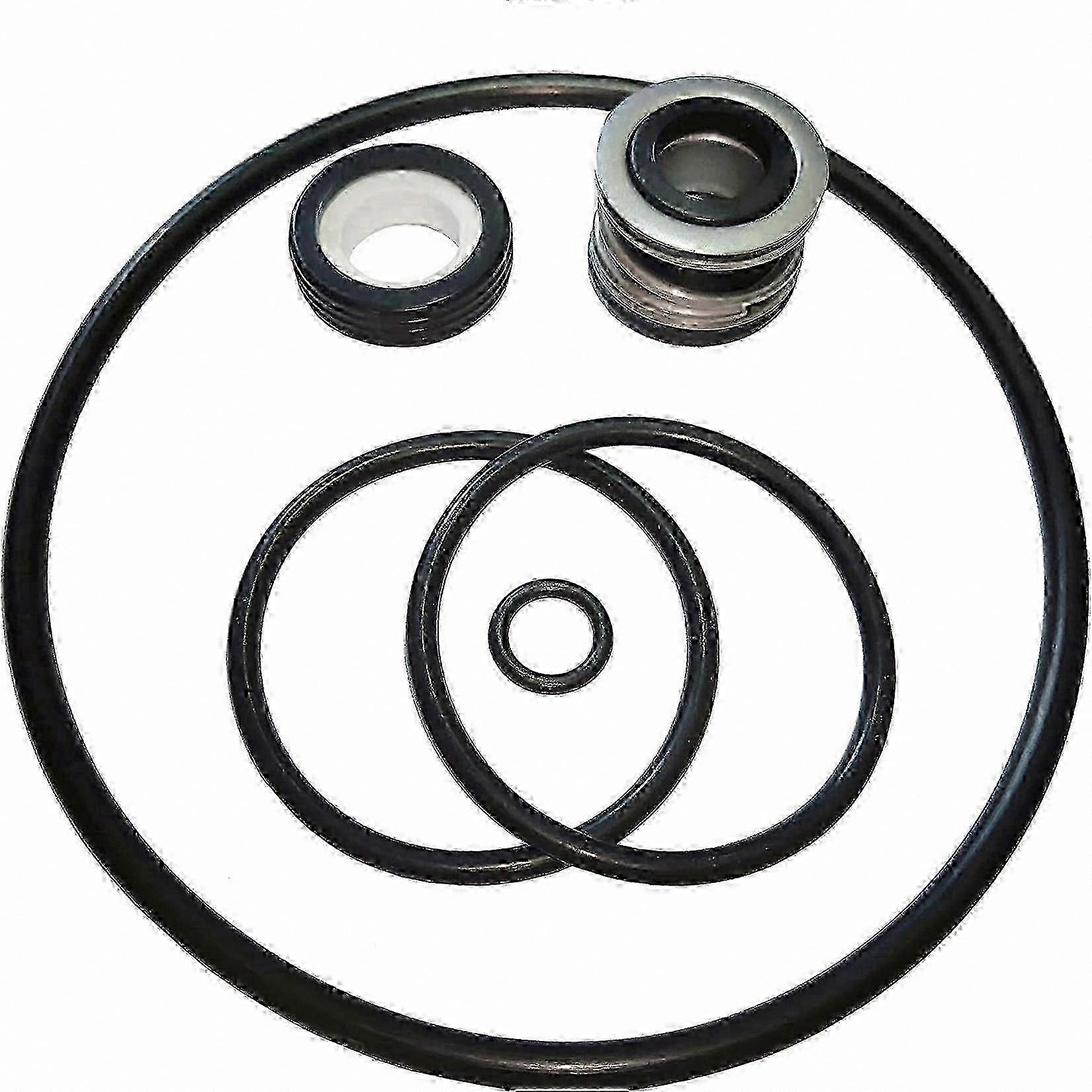 AquaFlo FloMaster XP2 XP2E Pool Pump Seal Kit | Volute O-Ring PS200