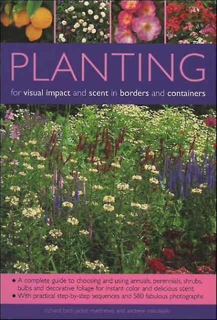 Planting For Visual Impact And Scent In Borders And Containers by Andrew Mikolajski Paperback Book