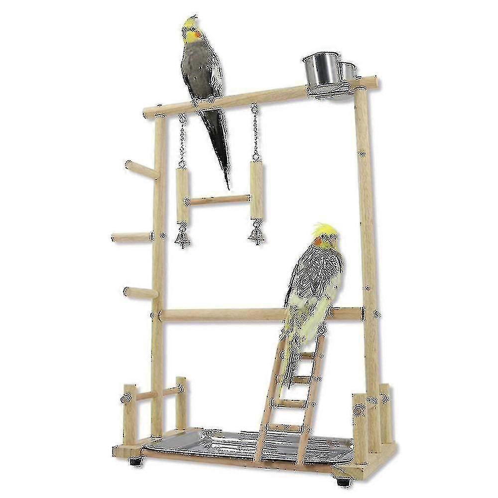 ببغاء طويل القامة ، رف لعبة الطيور ، ملعب مع سلم متأرجح