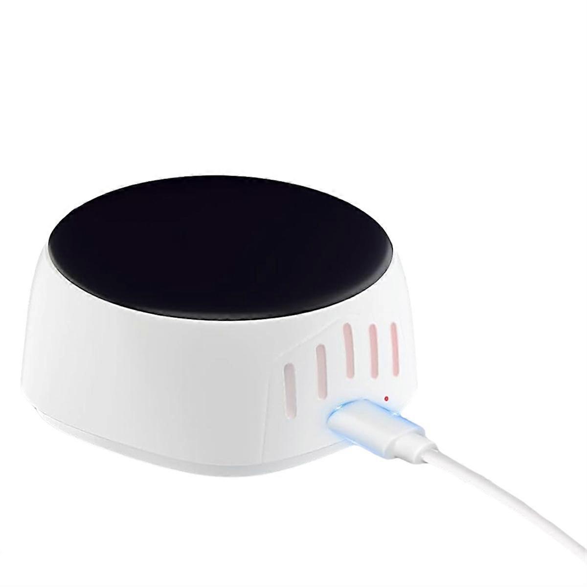 Toothbrush Case Sterilizer, Portable Sterilizer with Fan Drying Function, Suitable for All Toothbrushes